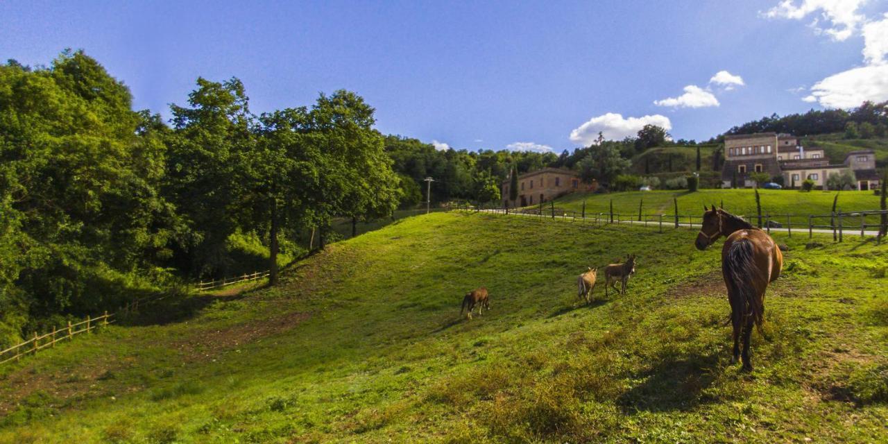 Agriturismo Rio Coverino Borghetto  Exteriér fotografie